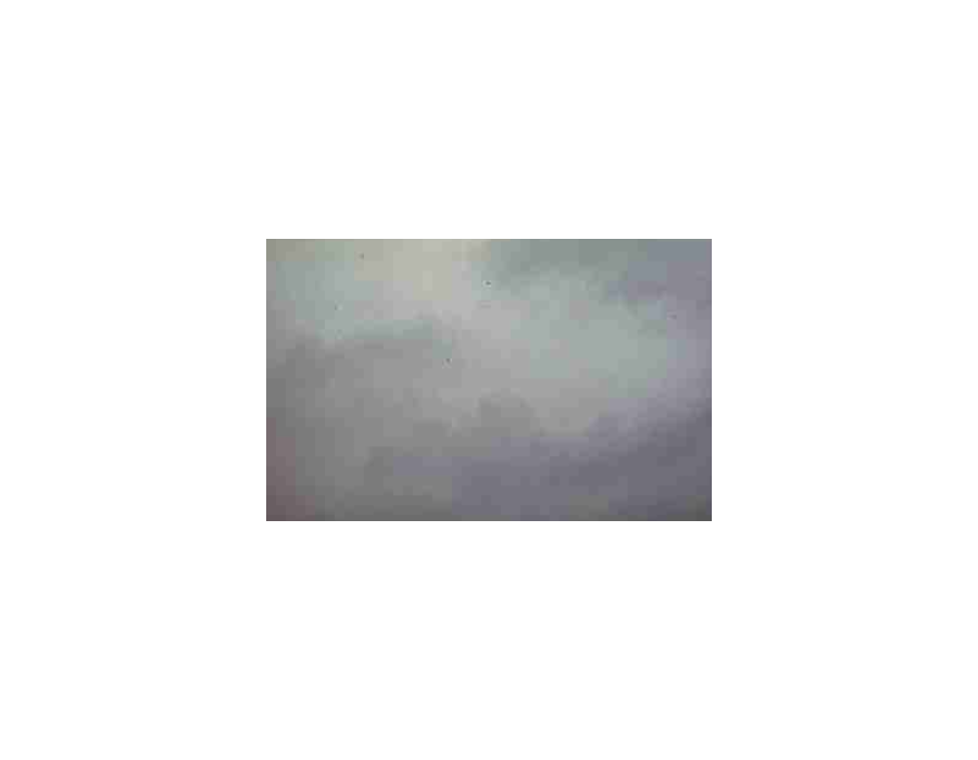 Nimbostratus