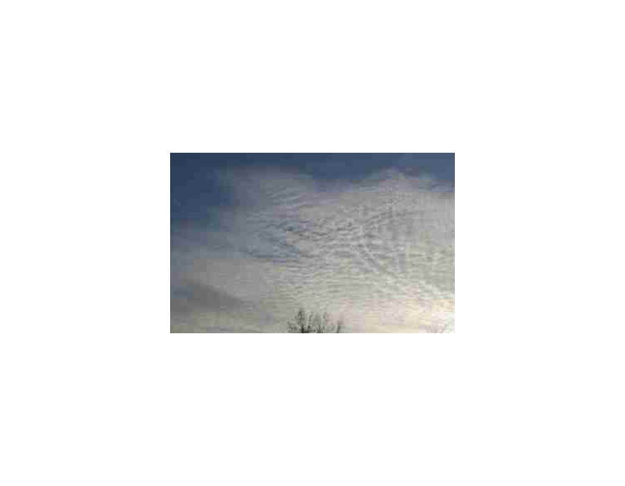 Altocumulus