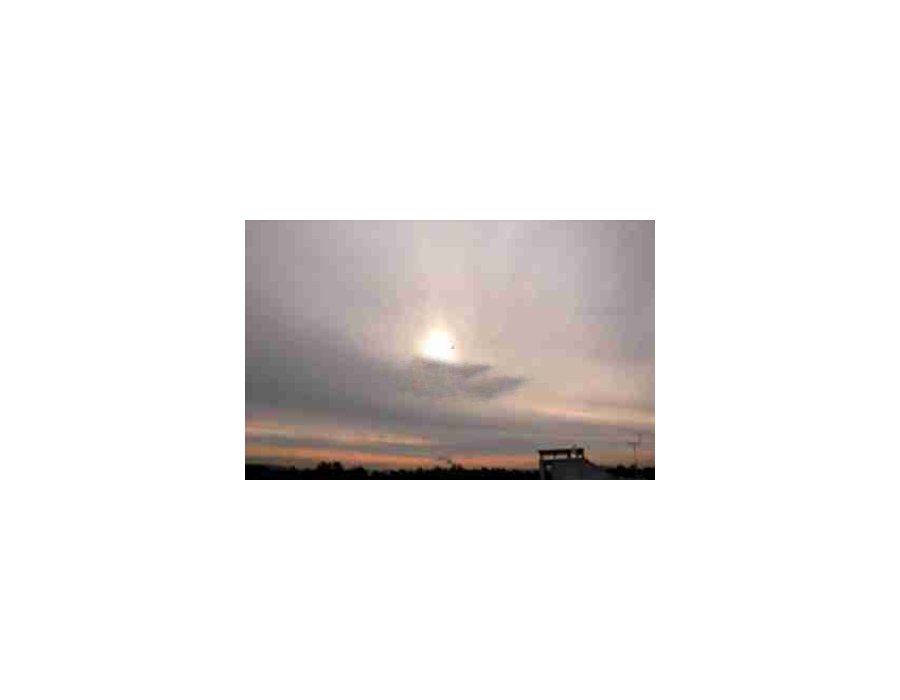 Altostratus